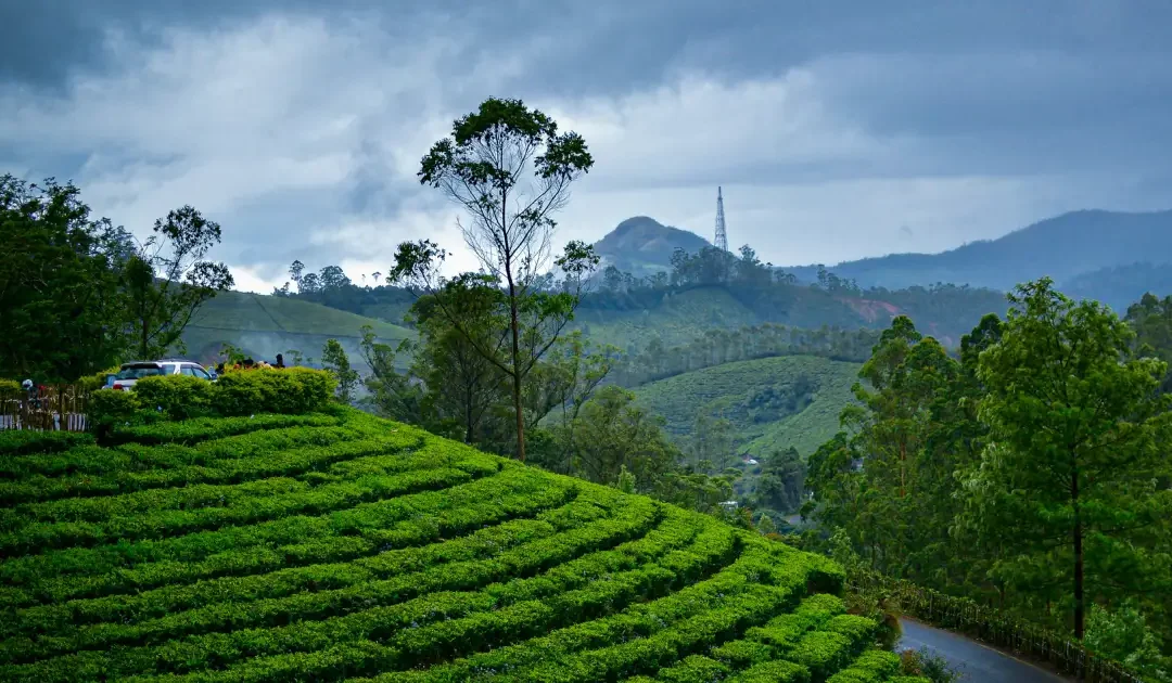 Kerala Travel Itinerary for First-Time Visitors (7-Day Guide)