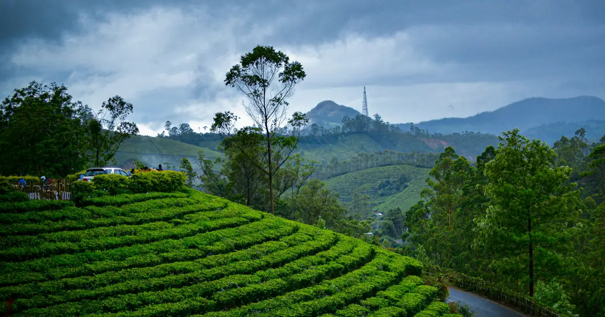 Kerala Travel Itinerary for First-Time Visitors (7-Day Guide) Kerala Travel Itinerary for First-Time Visitors (7-Day Guide)